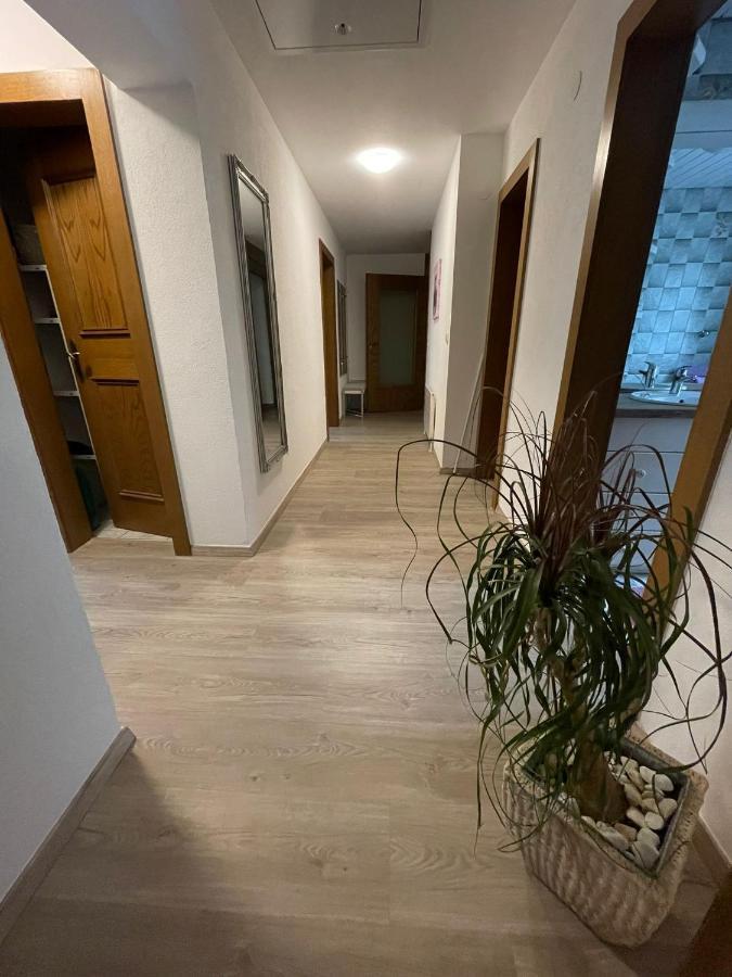 Apartment Wildalmblick Neukirchen am Großvenediger Dış mekan fotoğraf