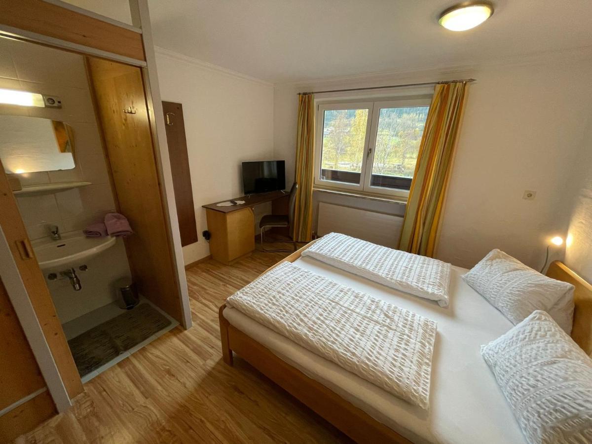 Apartment Wildalmblick Neukirchen am Großvenediger Dış mekan fotoğraf